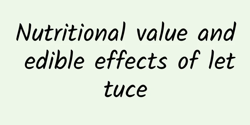 Nutritional value and edible effects of lettuce