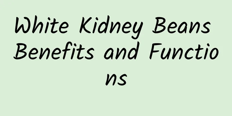 White Kidney Beans Benefits and Functions