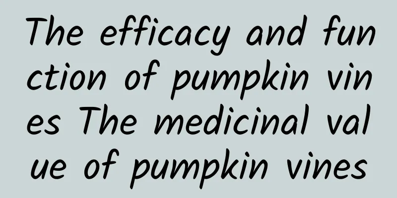 The efficacy and function of pumpkin vines The medicinal value of pumpkin vines