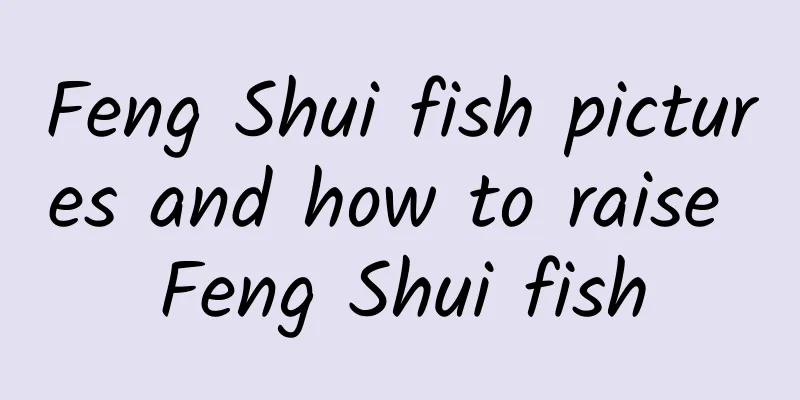 Feng Shui fish pictures and how to raise Feng Shui fish