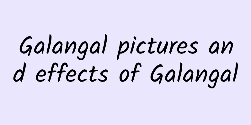 Galangal pictures and effects of Galangal