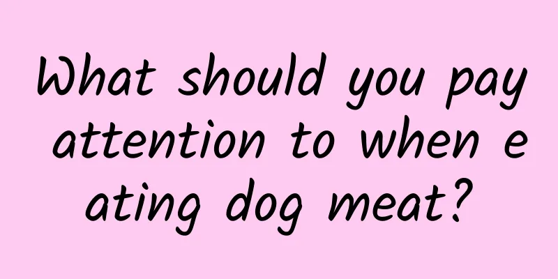 What should you pay attention to when eating dog meat?