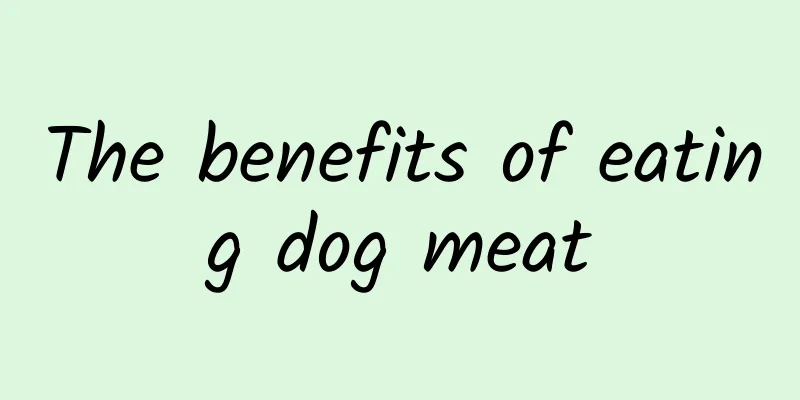 The benefits of eating dog meat