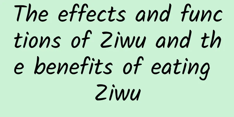 The effects and functions of Ziwu and the benefits of eating Ziwu