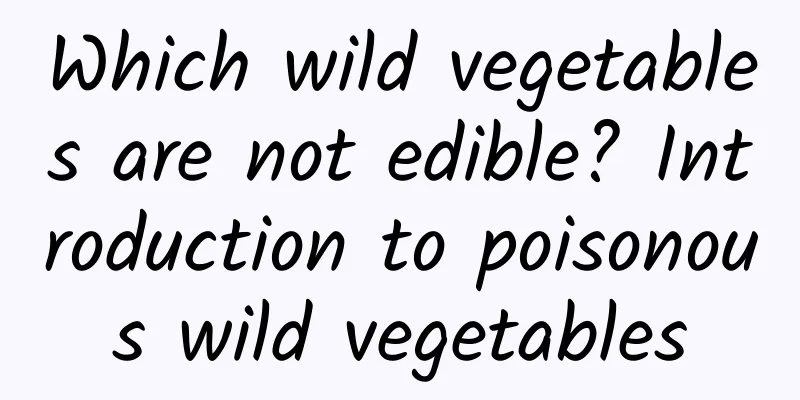 Which wild vegetables are not edible? Introduction to poisonous wild vegetables