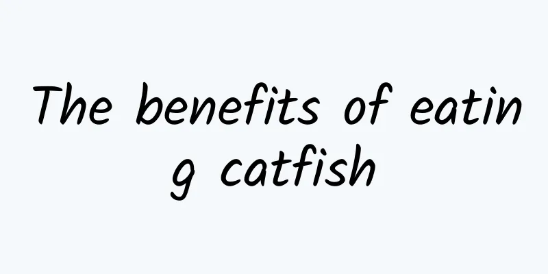 The benefits of eating catfish