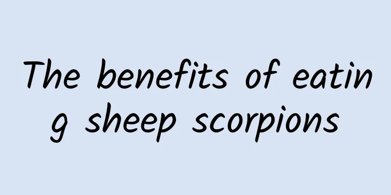 The benefits of eating sheep scorpions