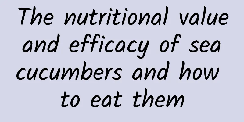 The nutritional value and efficacy of sea cucumbers and how to eat them