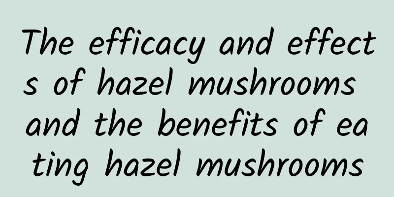 The efficacy and effects of hazel mushrooms and the benefits of eating hazel mushrooms