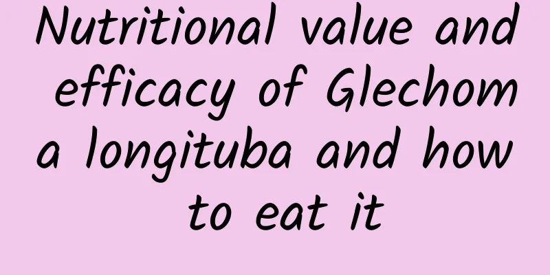 Nutritional value and efficacy of Glechoma longituba and how to eat it