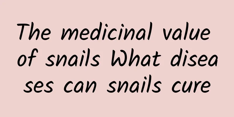 The medicinal value of snails What diseases can snails cure