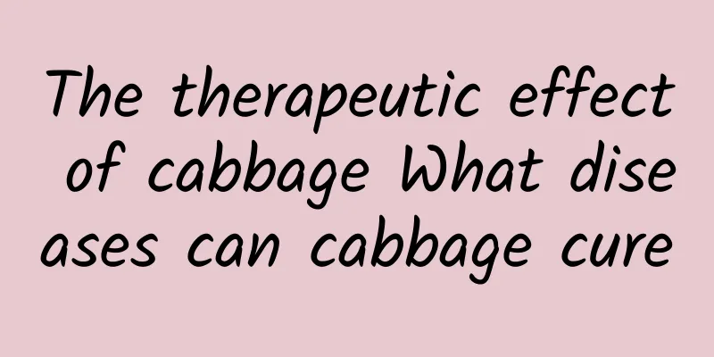 The therapeutic effect of cabbage What diseases can cabbage cure