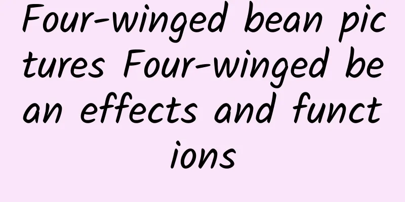 Four-winged bean pictures Four-winged bean effects and functions