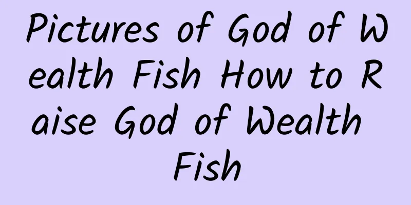 Pictures of God of Wealth Fish How to Raise God of Wealth Fish