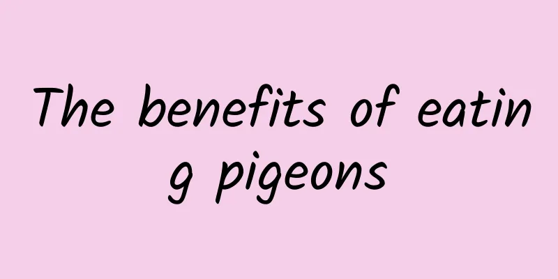 The benefits of eating pigeons