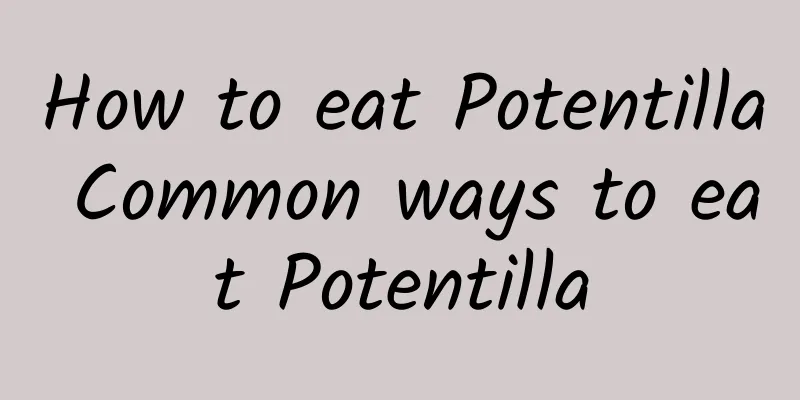 How to eat Potentilla Common ways to eat Potentilla