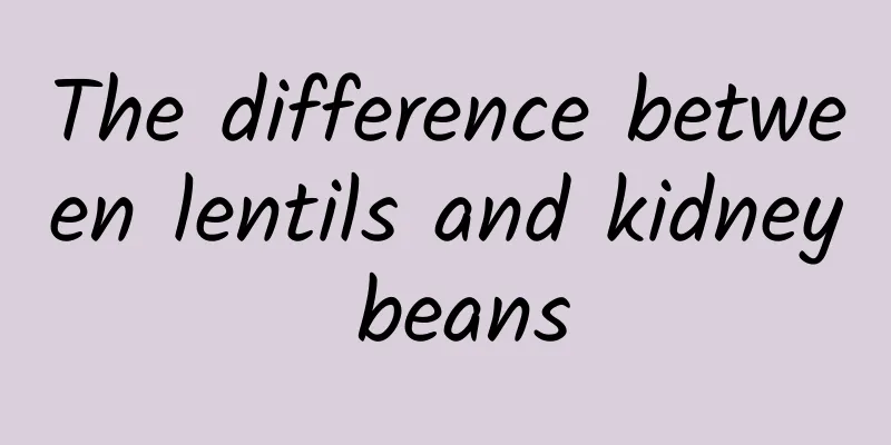 The difference between lentils and kidney beans