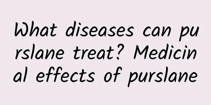 What diseases can purslane treat? Medicinal effects of purslane