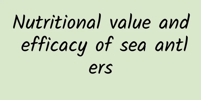 Nutritional value and efficacy of sea antlers