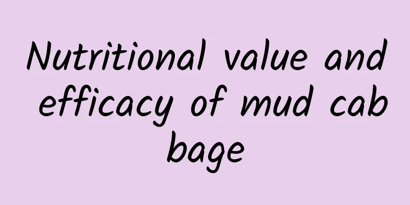 Nutritional value and efficacy of mud cabbage