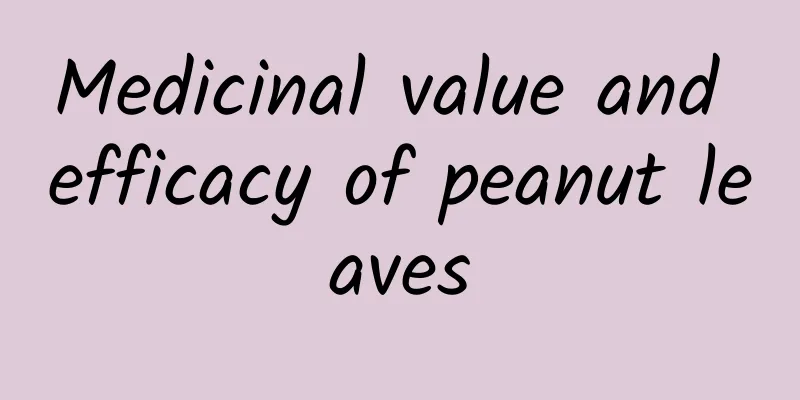 Medicinal value and efficacy of peanut leaves