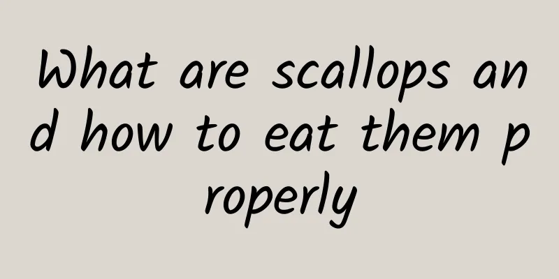 What are scallops and how to eat them properly