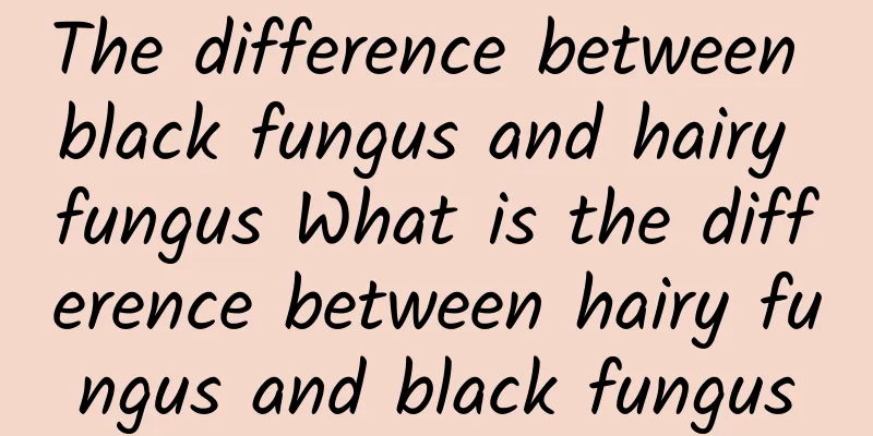 The difference between black fungus and hairy fungus What is the difference between hairy fungus and black fungus