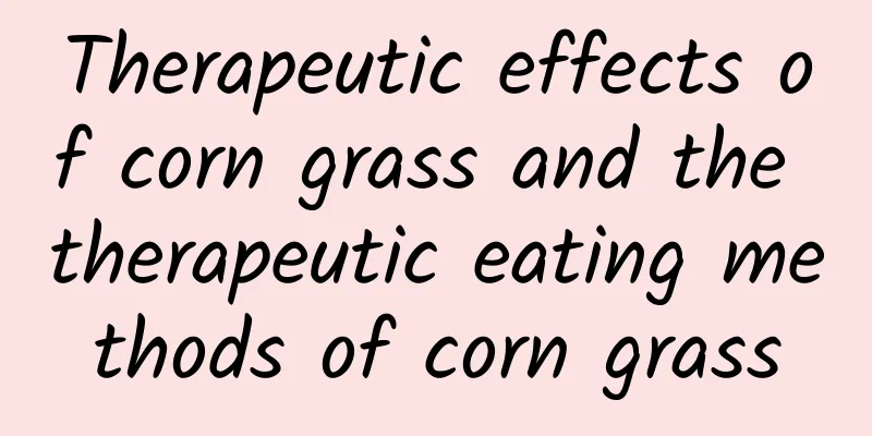 Therapeutic effects of corn grass and the therapeutic eating methods of corn grass