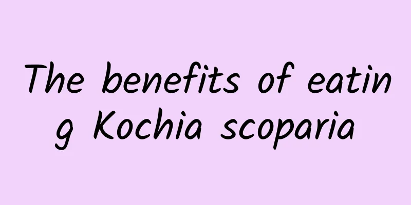 The benefits of eating Kochia scoparia