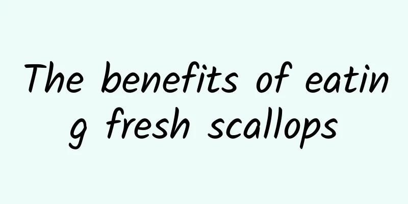 The benefits of eating fresh scallops