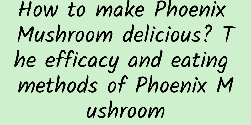 How to make Phoenix Mushroom delicious? The efficacy and eating methods of Phoenix Mushroom