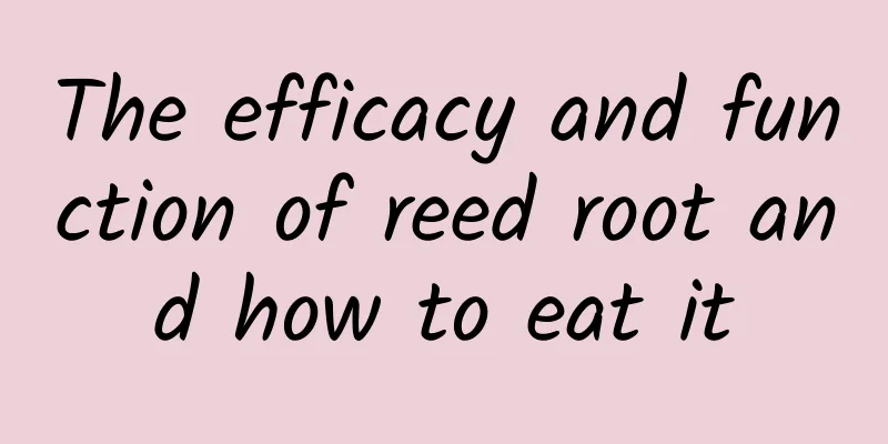 The efficacy and function of reed root and how to eat it