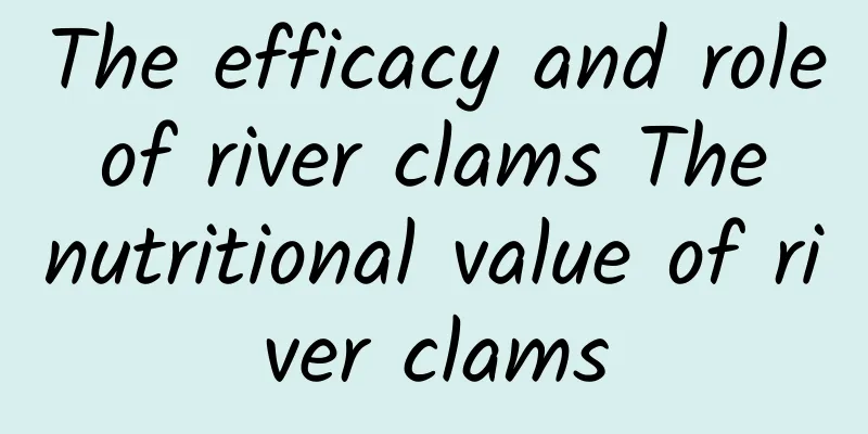 The efficacy and role of river clams The nutritional value of river clams