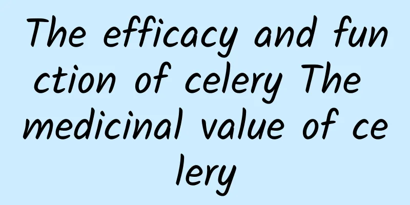 The efficacy and function of celery The medicinal value of celery