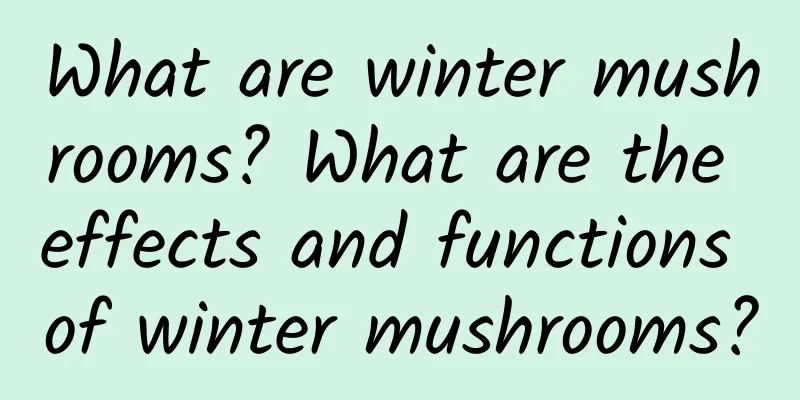 What are winter mushrooms? What are the effects and functions of winter mushrooms?