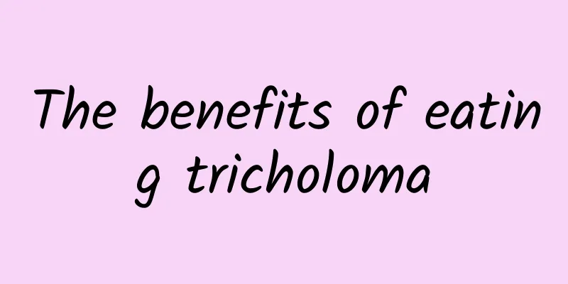 The benefits of eating tricholoma