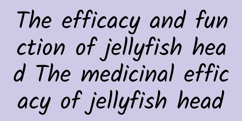 The efficacy and function of jellyfish head The medicinal efficacy of jellyfish head