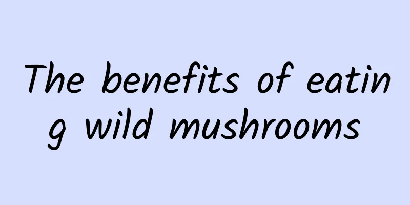 The benefits of eating wild mushrooms