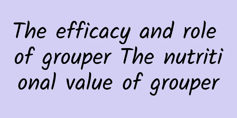 The efficacy and role of grouper The nutritional value of grouper