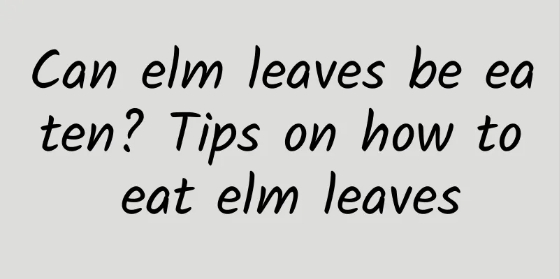 Can elm leaves be eaten? Tips on how to eat elm leaves