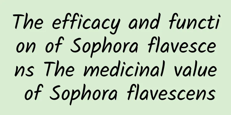 The efficacy and function of Sophora flavescens The medicinal value of Sophora flavescens