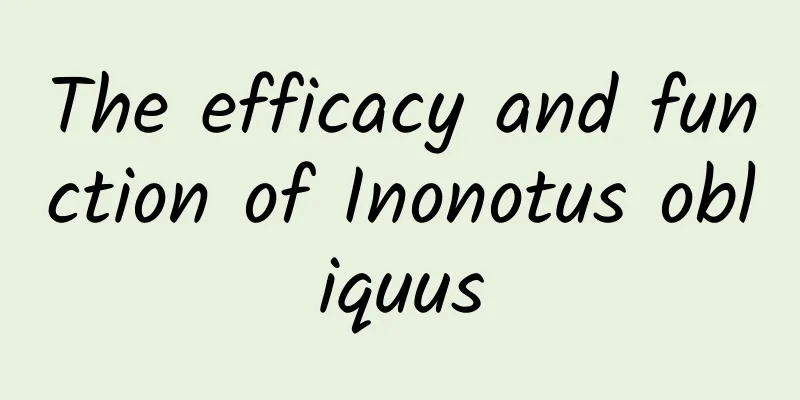 The efficacy and function of Inonotus obliquus