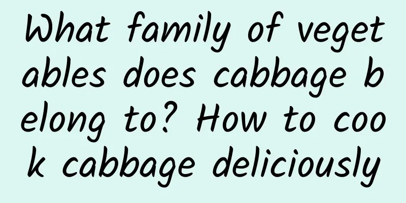 What family of vegetables does cabbage belong to? How to cook cabbage deliciously