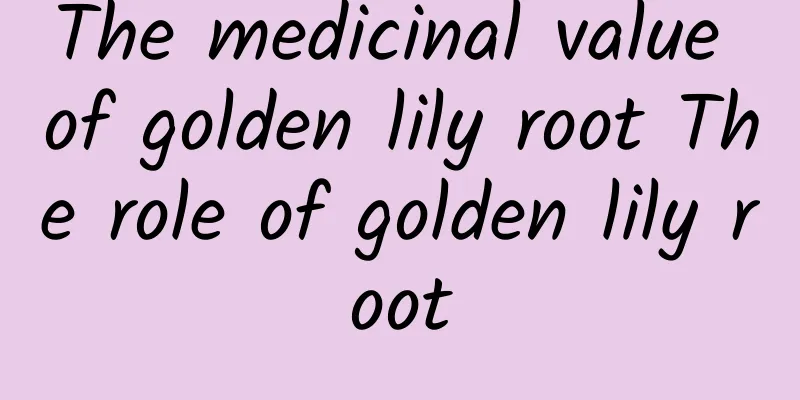 The medicinal value of golden lily root The role of golden lily root