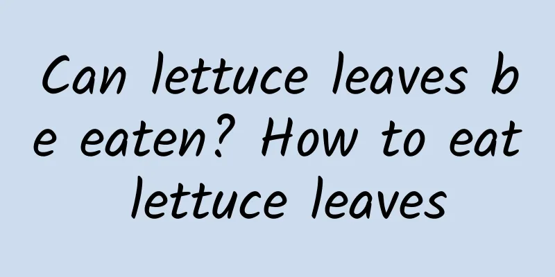 Can lettuce leaves be eaten? How to eat lettuce leaves