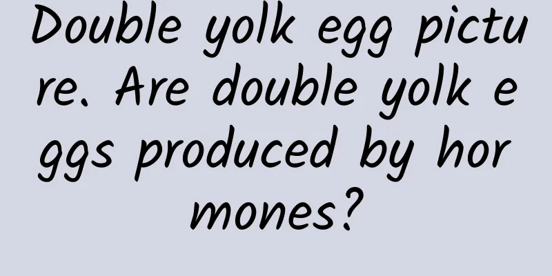 Double yolk egg picture. Are double yolk eggs produced by hormones?