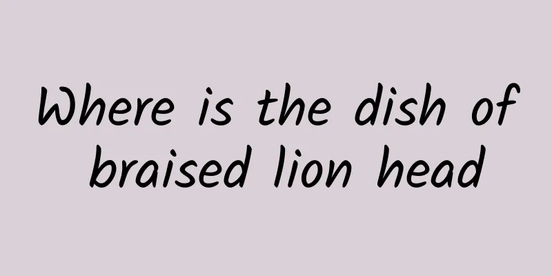 Where is the dish of braised lion head