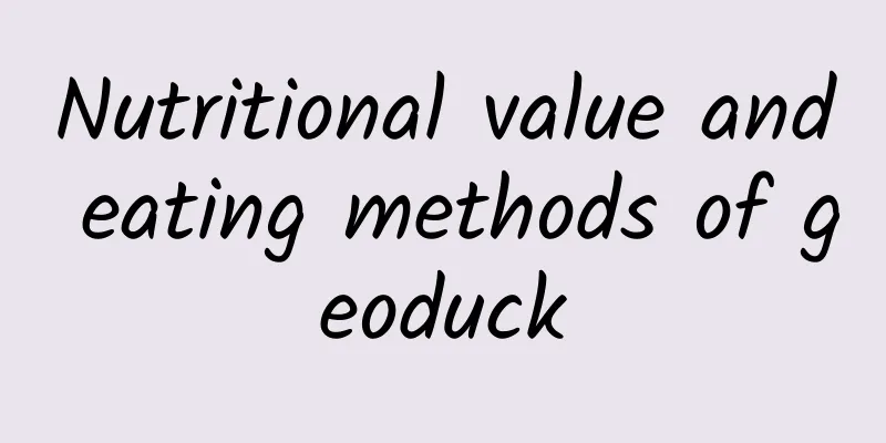 Nutritional value and eating methods of geoduck