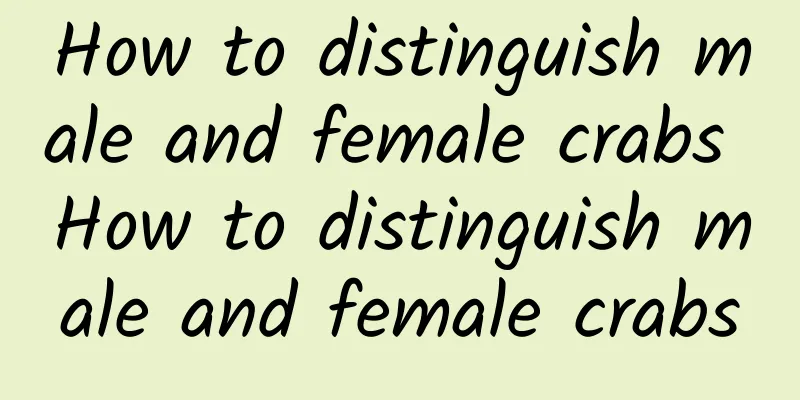 How to distinguish male and female crabs How to distinguish male and female crabs