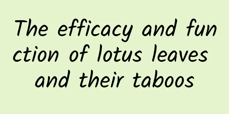 The efficacy and function of lotus leaves and their taboos